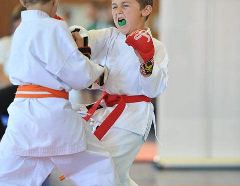 Karate Super League Lions Challenge